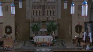 St Francis English Mass - 9am