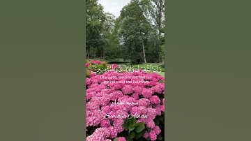 سورة إبراهيم الآية(40)||رَبِّ اجْعَلْنِي مُقِيمَ الصَّلَاةِ|| القارئ إسلام صبحي #قرآن