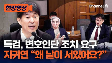 지귀연 판사, 김용현 변호인단에 "왜 날이 서있어요?" [현장영상] / 채널A