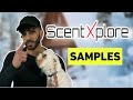 What i got in my scentxplore sample pack