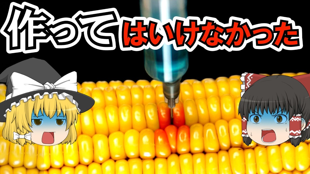 【ゆっくり解説】トウモロコシの歴史　なぜトウモロコシは”世界を支配した作物”になったのか？人類を狂わせた最強の穀物の闇