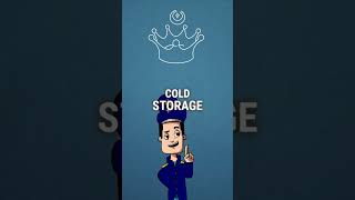 Which Cold Wallet Should You Actually Buy #cryptoguide #cryptocurrency #coldwallet