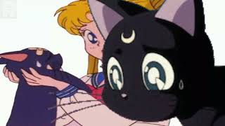 Sailor Moon Usagi And Luna Moments
