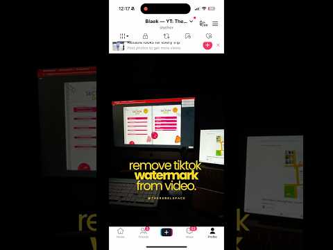 PlayBun Free: The Least Fussy First Look for US Gamers