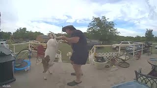 Man Dances With Goat || ViralHog