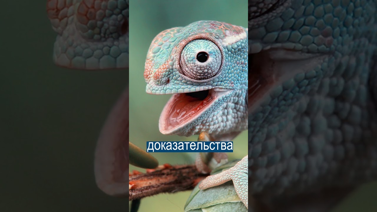 Колдун Навёл Порчу на Президента Замбии