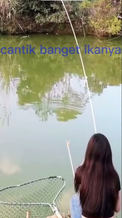 mancing mania#cantik banget ikan nya🤣🤣#
