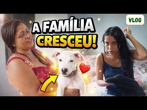 COMO ESTÁ A JÉSSICA PÓS CIRURGIA// MAIS UM MEMBRO NA FAMÍLIA #pets