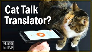 What is my cat saying? Meow Talk App Review screenshot 5