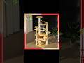 Cat Climbing Frame 2 Space Capsule Cat House/Single Sided Ladder/AVOSKY Baby Swimming Suit