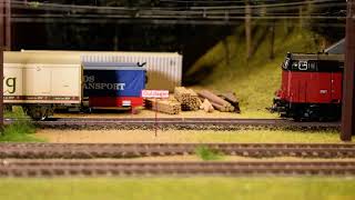 Mz Loko At Guldager Denmark