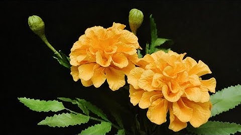 ABC TV | How To Make Marigold Paper Flower | Flower Die Cuts - Craft Tutorial