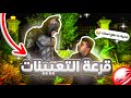 باتمان العراق القرعة باتمان العراق القرعة