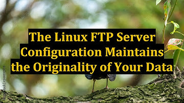 The Linux FTP Server Configuration Maintains the Originality of Your Data