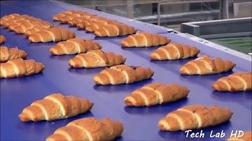 Bread processing Factory- Automated production line with high technology machines