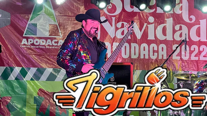 LOS TIGRILLOS - ISABEL (EN VIVO) APODACA NL