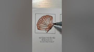 draw a seashell 🐚 easy art tutorial