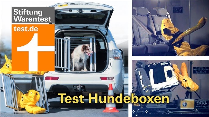 Die 17 besten Ideen zu Hundebox Auto