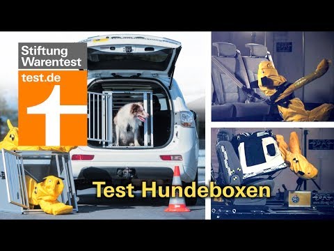 Auto Sonnenschutz für Hund & Co - Solarplexius