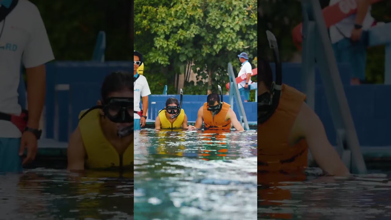 Adventure Cove Waterpark 🌊 Thrills, slides & marine life fun for all ages