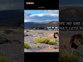 Rhino Lethal Strike: Lion Falls Victim 😱