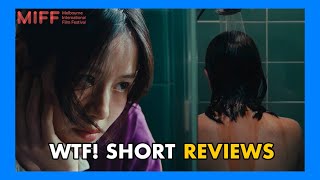 MIFF Shorts 2025, WTF!