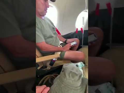 Lions being transported by airplane #shorts