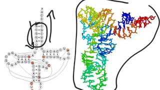 Molecular Methods Introduction
