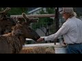 Parsons Elk Ranch