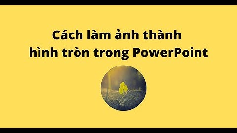 Cách làm ảnh thành hình tròn trong PowerPoint