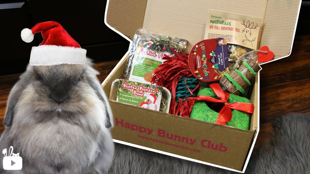 Christmas presents for rabbits