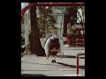 ひばりスリープ #歌詞動画 #恋愛 #歌ってみた #cover #cover #music #事情 #歌うま #aimusic