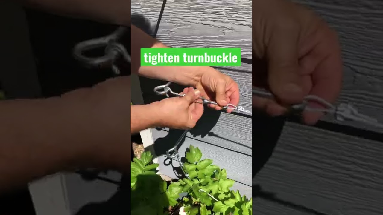 Espalier Apple Tree Setup 🍎