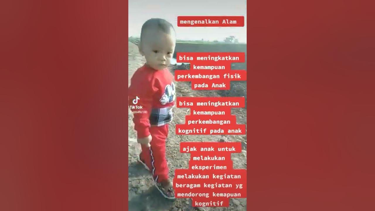 kemampuan perkembangan kognitif anak