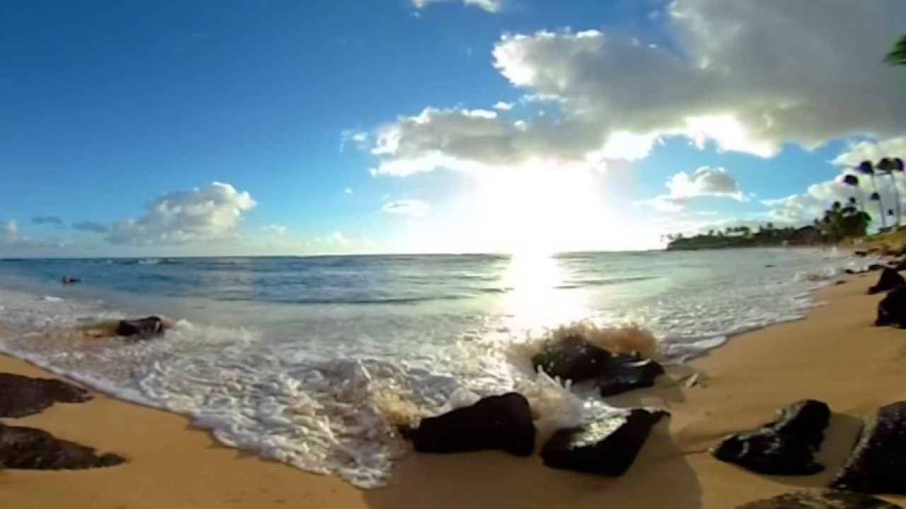 DNA Holiday Escape Hatch