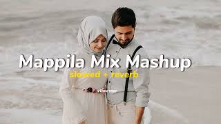 Mappila Mix Mashup  Slowed  Reverb  Vibeeater