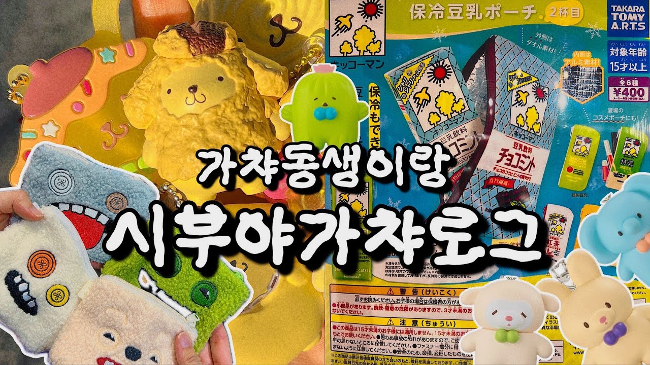 시부야에서 가챠샵만 4군데 돌아다니는 영상🔥 (with. 가챠동생)