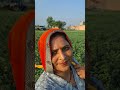 स्प्रे सीजन #farmingjyotivlogs #trading #farming #reels #sorts #veel #kisan #tractor #farming #reels