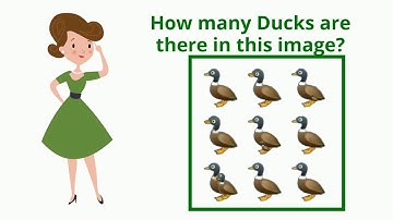 How many Ducks in the picture SOLVED