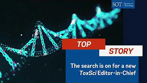 SOT Weekly Update 12-18-2025