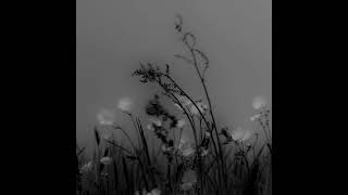 Ludovico Einaudi - Nobody Knows
