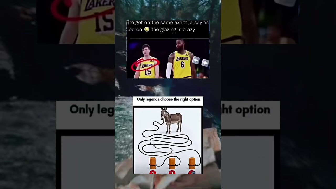 6p Memesdaily Zyxabc Memes Funnyimages