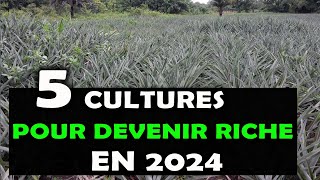 AGRICULTURE: Top 5 des cultures rentables pour devenir Millionnaire en 2024 [Agrobusiness]