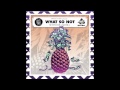 What So Not - 7 Dollar Bill