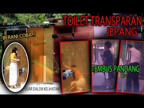 Video: Toilet Jepang: apa itu dan apa jadinya