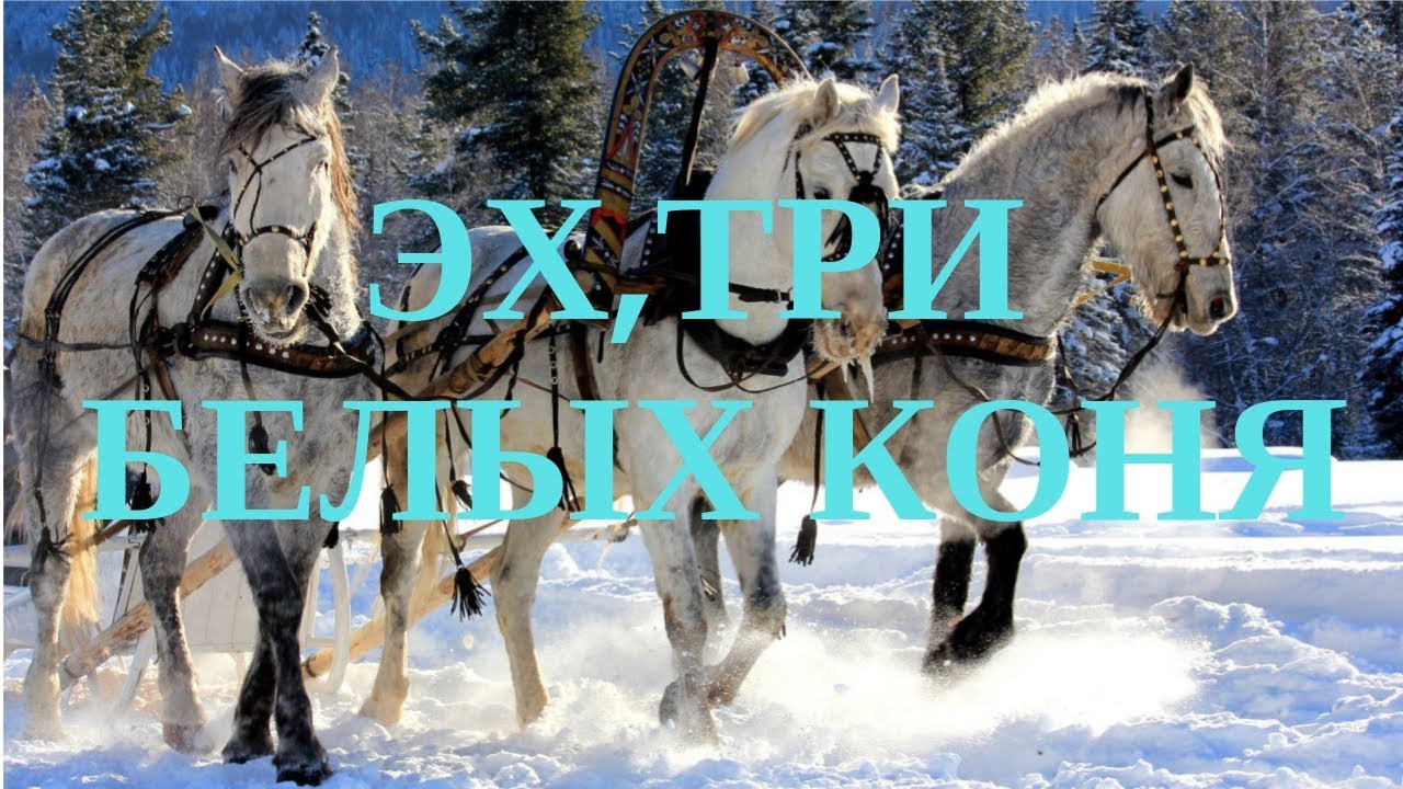 Белые лошадки песня. Тройка декабрь январь и февраль. Три белых коня. Три белых коня декабрь январь и февраль. Чародеи три белых коня.