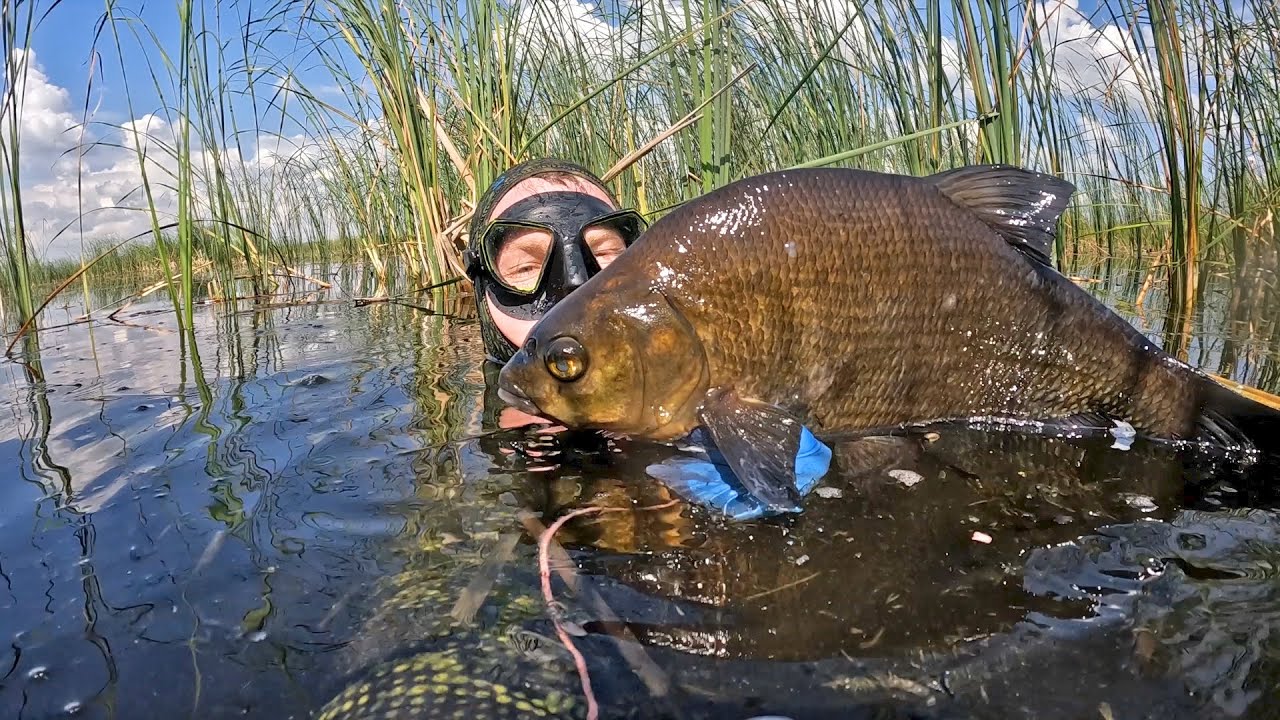 Подводная охота 2025 