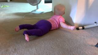 Scarlett crawling