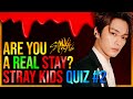 Stray Kids Quiz #2 that only REAL Stays can perfect