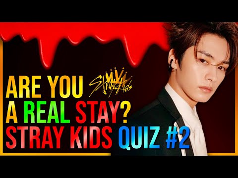 Stray Kids Quiz 2 That Only Real Stays Can Perfect